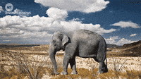 news evolution GIF by NowThis 