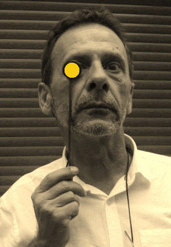 galantijc autoportrait GIF