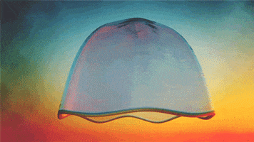 jefflejune c4d jellyfish octane GIF