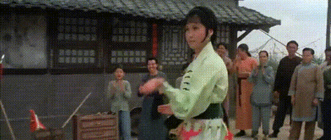 martial arts fight GIF by Shaw Brothers