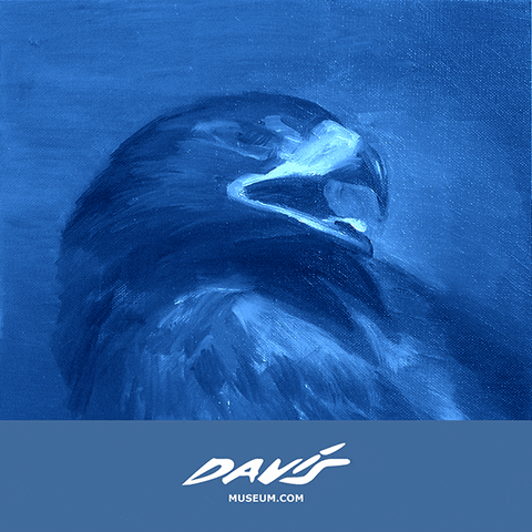 davismuseum 2015 gif animation davis lisboa davis museum GIF