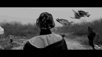 quicksand money hip hop bad ass joey bada$$ GIF