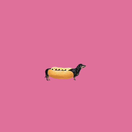 Hot Dog Animation GIF by Robbie Cobb