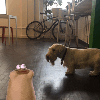 davidgraver  GIF