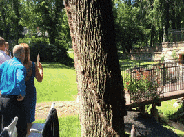 momchenr  GIF