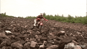 crash oops GIF by Red Bull