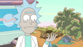 bug inspect GIF by Rick and Morty