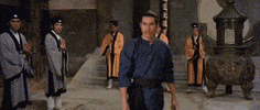martial arts come at me bro GIF by Shaw Brothers