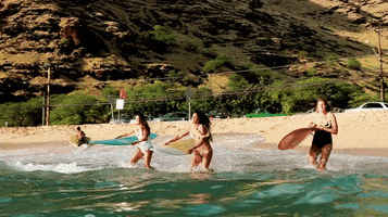 200.gif?cid=fc005b08f4630a566e68410db92e45fc093670d485041d1f&rid=200.gif&ct=g