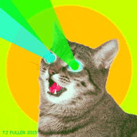 Cat Internet GIF by TJ Fuller
