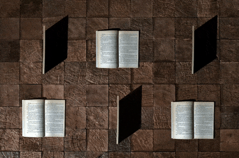 What's the most recent book you read? Was it good? content media