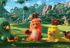 Flirty Hello GIF by Angry Birds