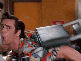 jim carrey idgaf GIF by O&O, Inc