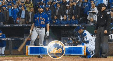new york mets GIF by WNYC