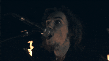 Beer Microphone GIF by Plainride