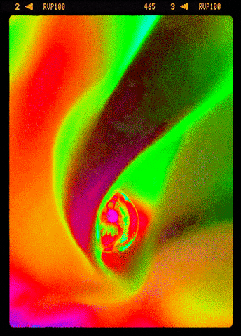 Digital art gif. Psychedelic flashing rainbow-colored abstracted swirling folds resembling a rose.