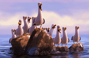pepelsbey react conference seagull front-end GIF