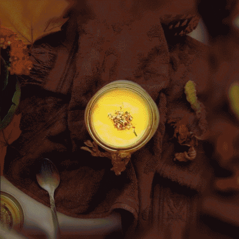 oof food loop animated plates GIF