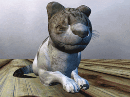 cat GIF by Martin Onassis