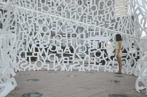 xsantt  GIF