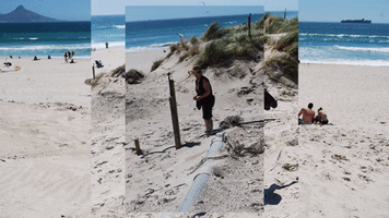 benjaminmitchley beach mom capetown GIF