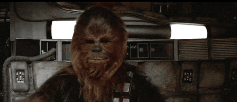 Star Wars Deal With It GIF