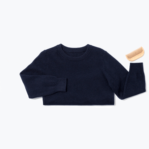clothes cashmere GIF by Everlane