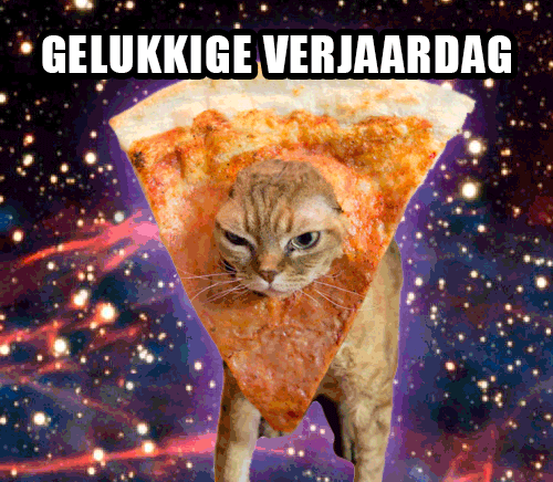 GIF by vrt - Find & Share on GIPHY