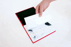 giovannimurolo book flipbook GIF