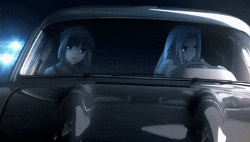 Fate GIF