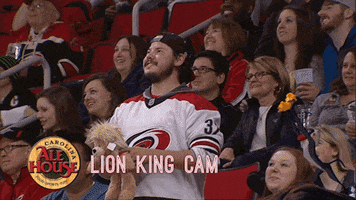 lion king hockey GIF by Carolina Hurricanes