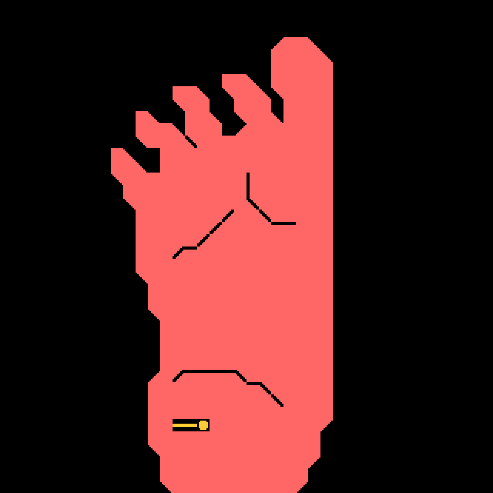 feet