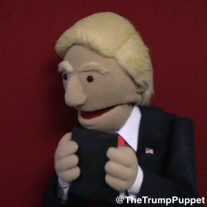 thetrumppuppet excited text trump phone GIF
