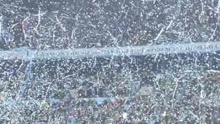 fans GIF by Manchester City