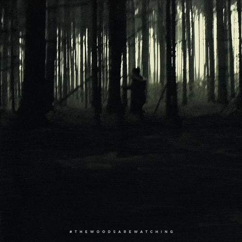 Whats spookier a dense and dark utterly silent forest or a giant clearing filled