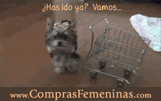 nomemires mujer compras comprar femenina GIF
