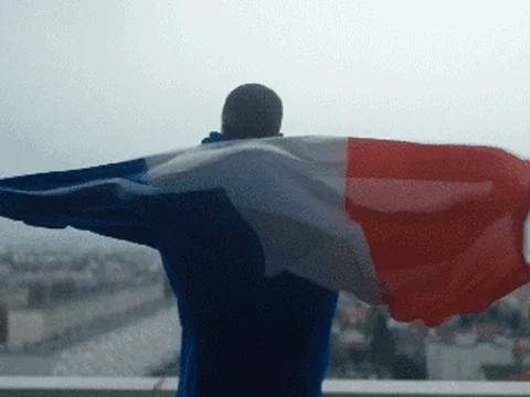 France Flag GIF