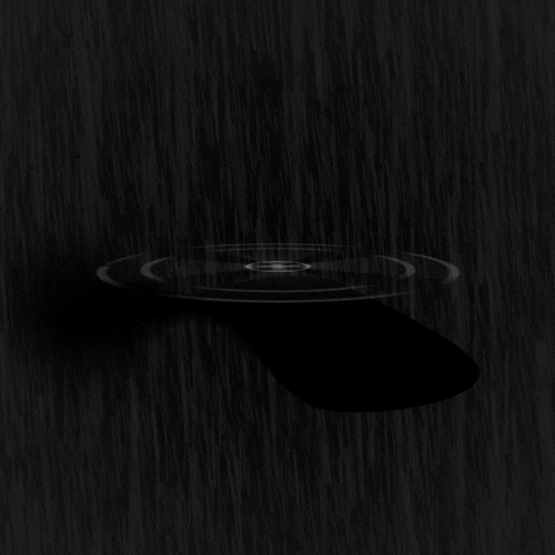 irinachirjoi  GIF