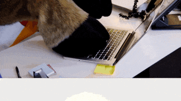 professional office GIF by Fox TV