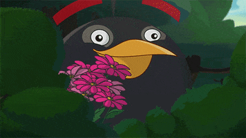 date love GIF by Angry Birds