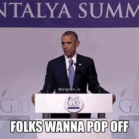 pigeonly obama popoff pigeonly GIF