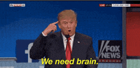 donald trump brain GIF