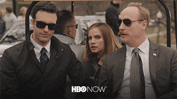 Reid Scott Sunglasses GIF by HBO