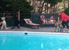 Video gif. Woman is riding a toddler bike next to a pool. Suddenly, one of the wheels pops off and she falls into the pool.