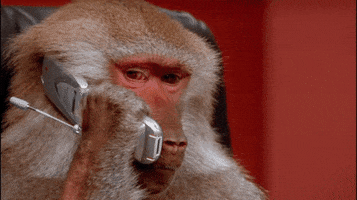 monkey phone telephone cell phone im listening