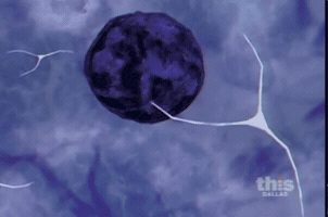 tohoscope  GIF