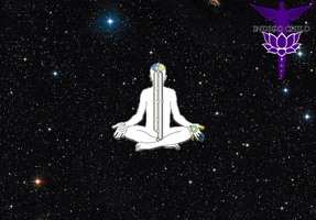 wayansandisetiadharma chakra GIF