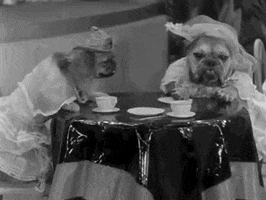 Hot Dog GIF by Warner Archive