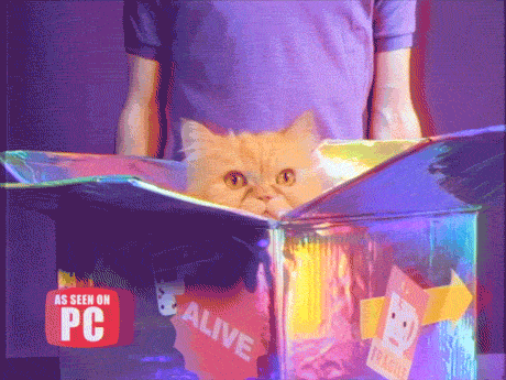 giphy.gif?cid=ecf05e47acc7ebbe26631d0774