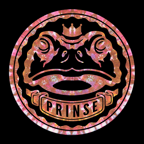 GIF by Prinse Clothing